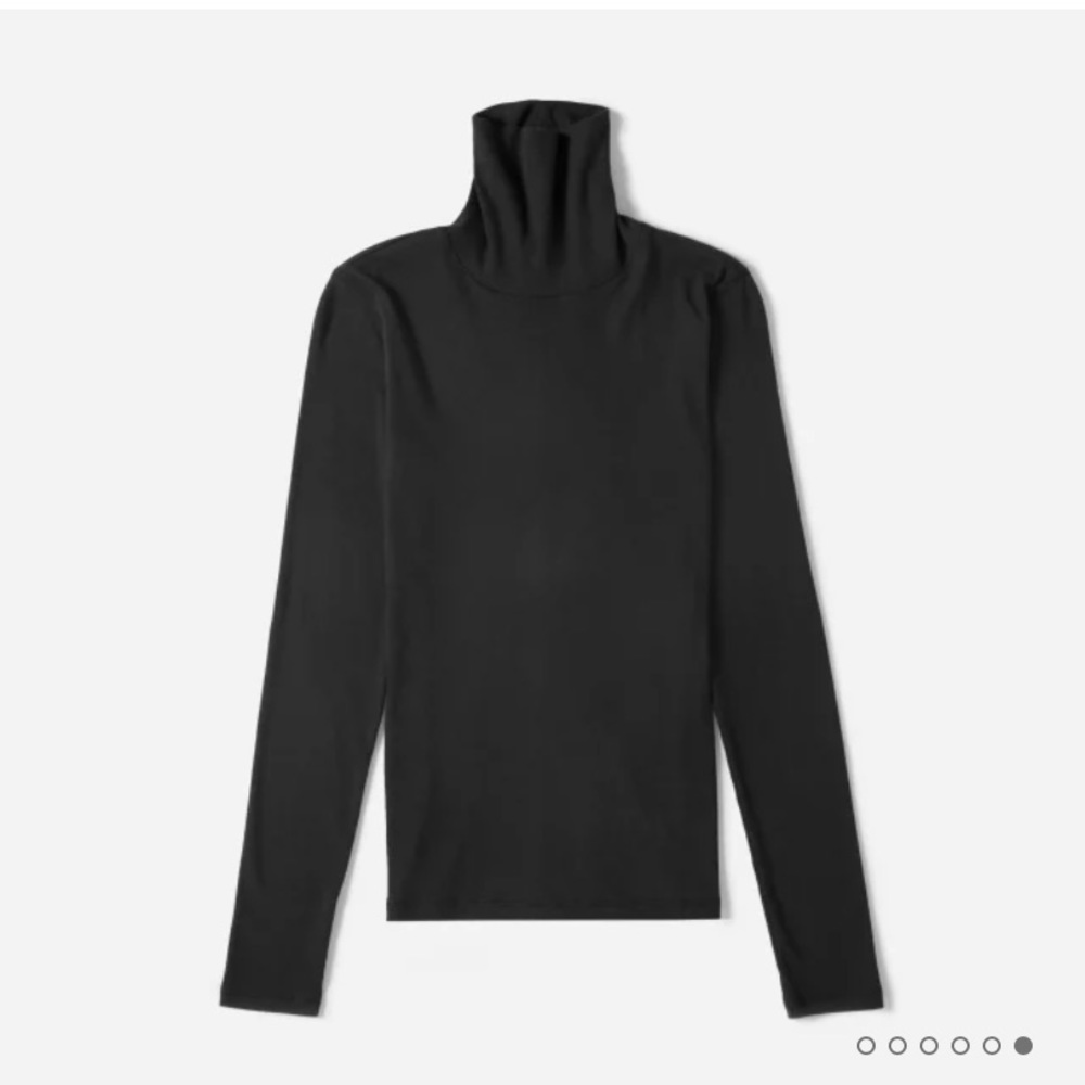 Everlane Pima Micro-rib Turtleneck